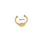 stainless golden ring