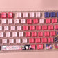 122keys Ai Hoshino set keycaps, top backlit PBT Cherry Designs