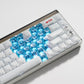 XVX Optic Heart Series 21-Key OEM Profile Transparent PC Keycap Set