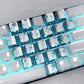 XVX 21 Keys Sliver Butterfly Keycaps IMD-Pattern Shine Through Heart-Shaped Keycaps OEM Profile DIY Decorative Keycapseycap